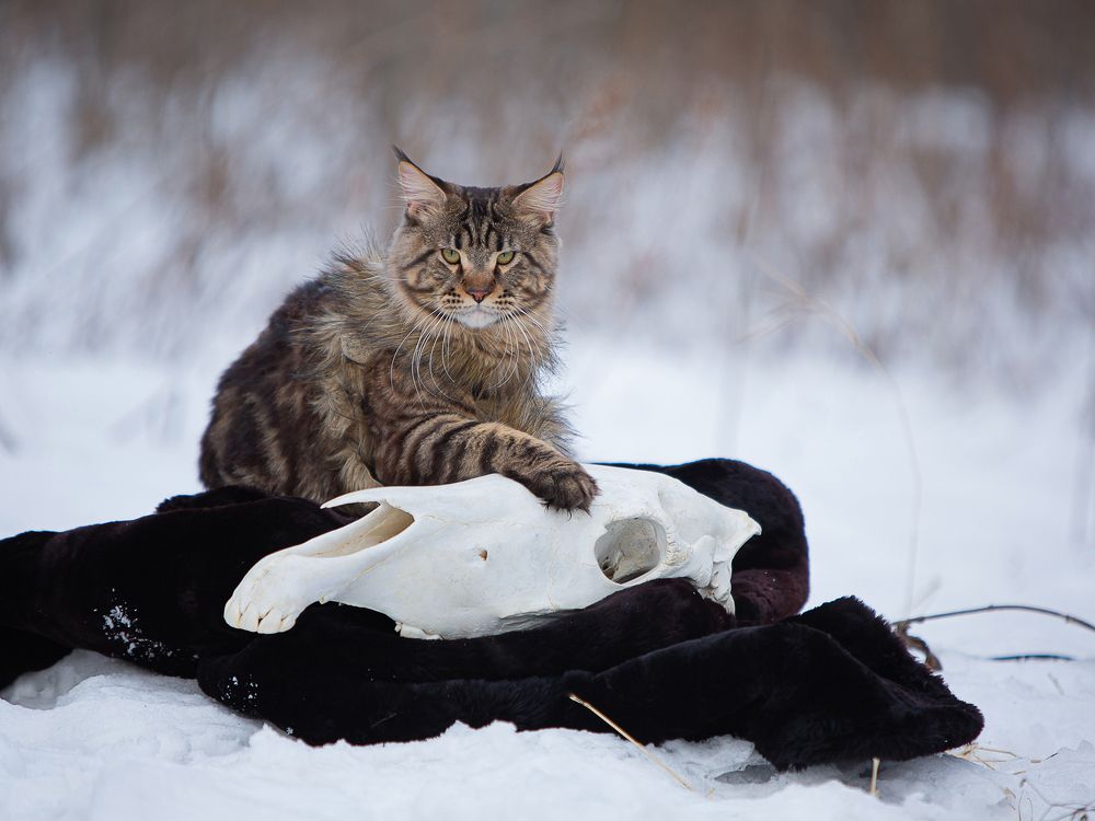 Photograph by Варвара Торокина