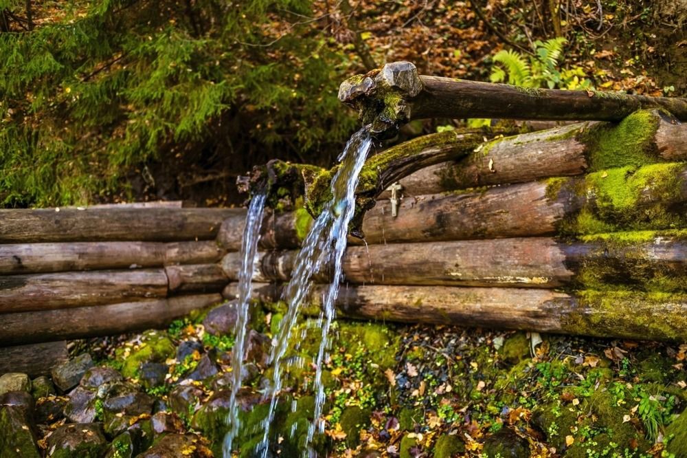 Photograph by Evgeny Nikonov