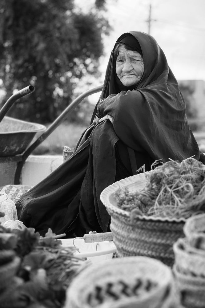 Photograph by mohammad mahmoodpoor