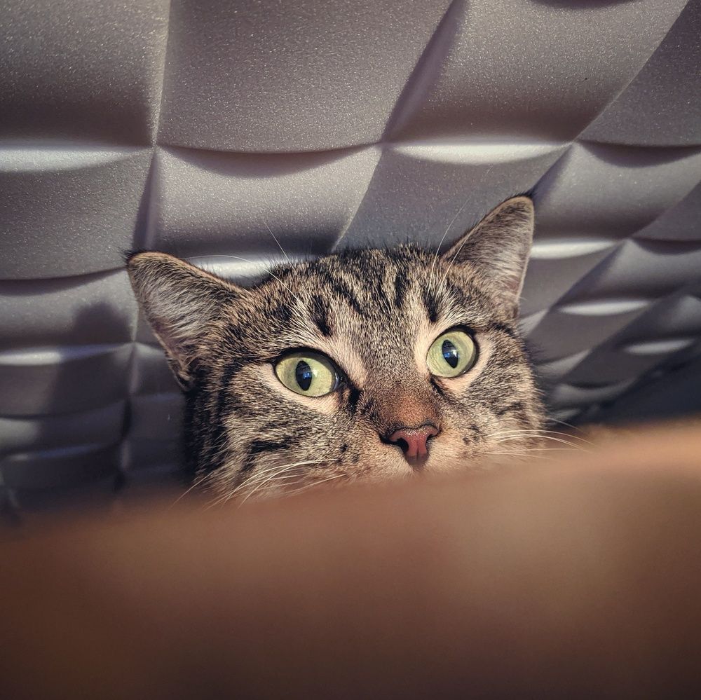 Photograph by Наталья Егорова