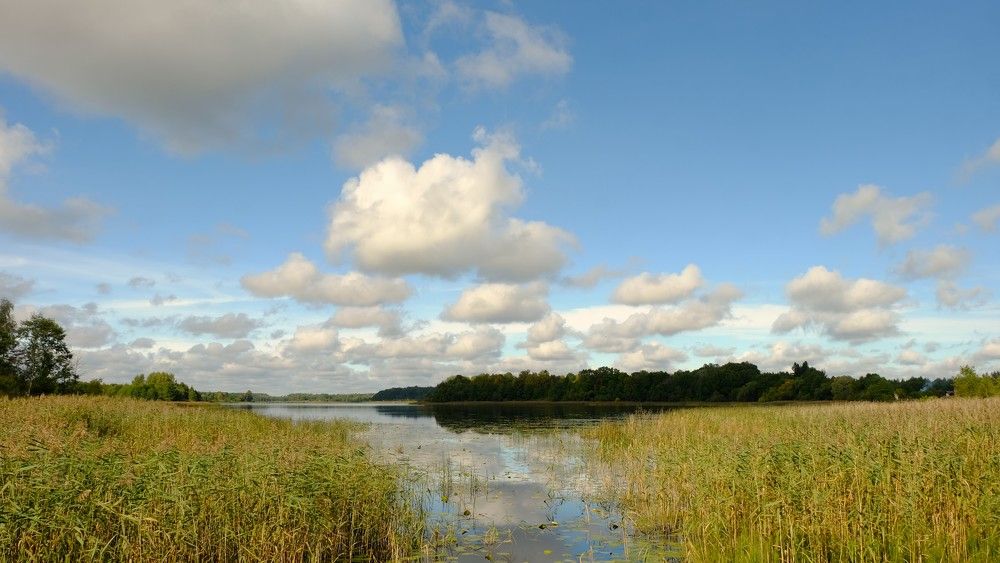 Photograph by Лариса Андреева