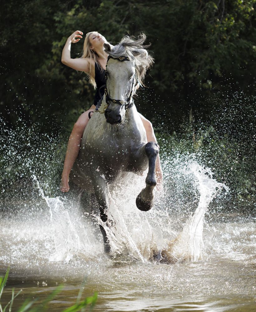 Фотография автора Елена Гордиевская