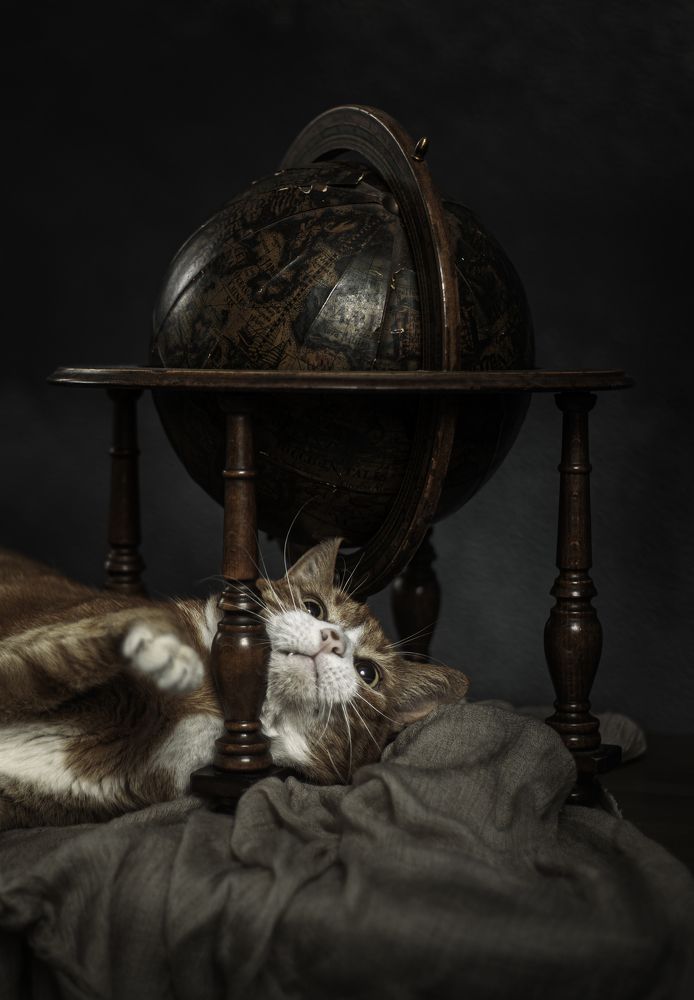 Photograph by Gertrude Goené