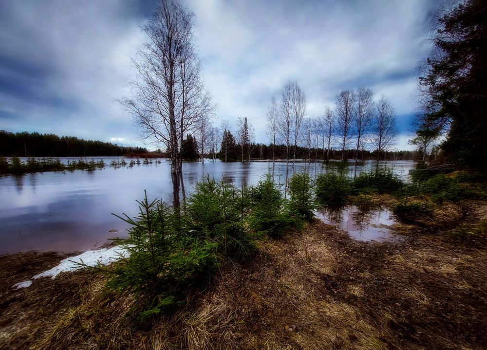 Photograph by Светлана Перминова