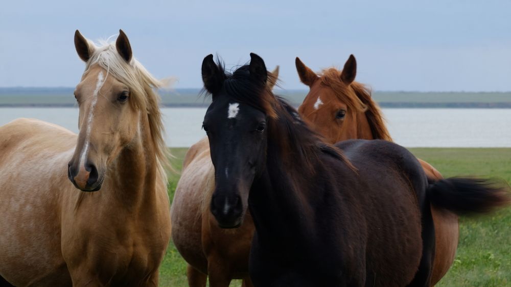 Photograph by Лариса Андреева