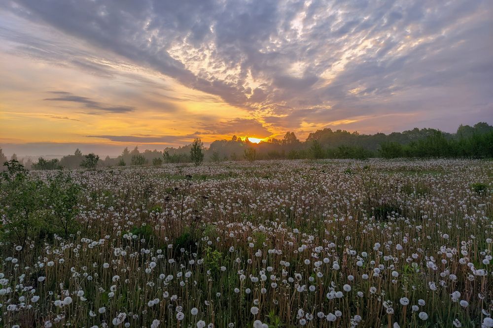 Photograph by Светлана Кондрашова