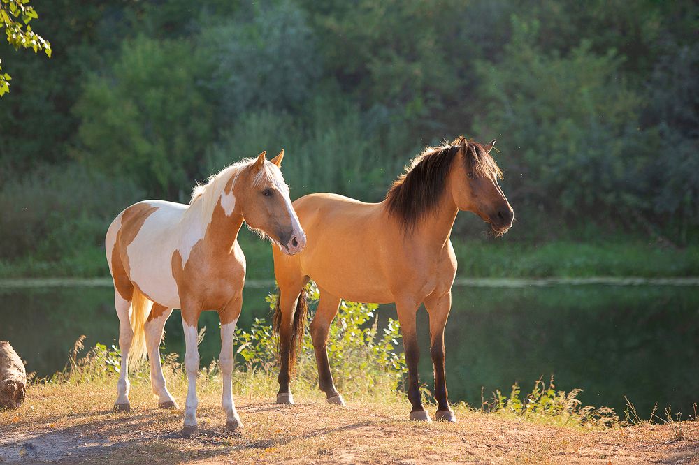 Photograph by Варвара Торокина