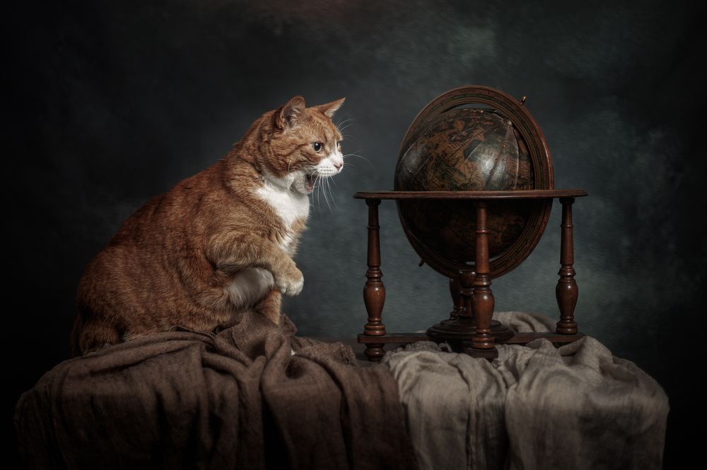 Photograph by Gertrude Goené