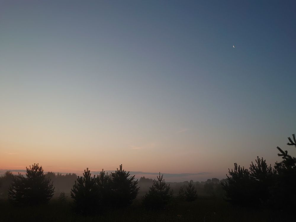 Photograph by Наталия Игоревна