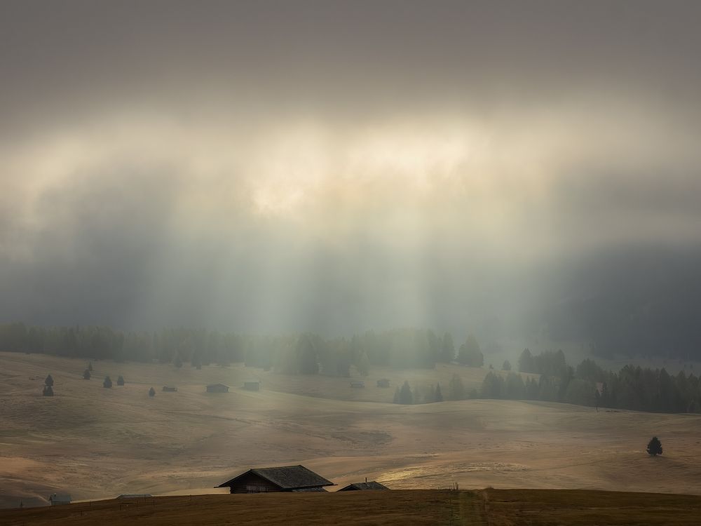 Утро, туман и солнце