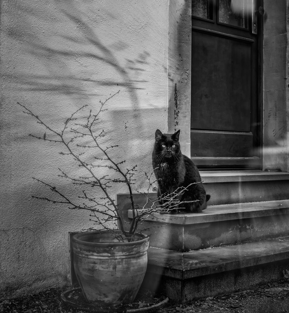 Фотография автора Сигидова Ирина