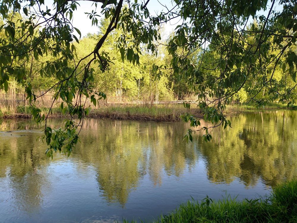 Photograph by Наталия Игоревна