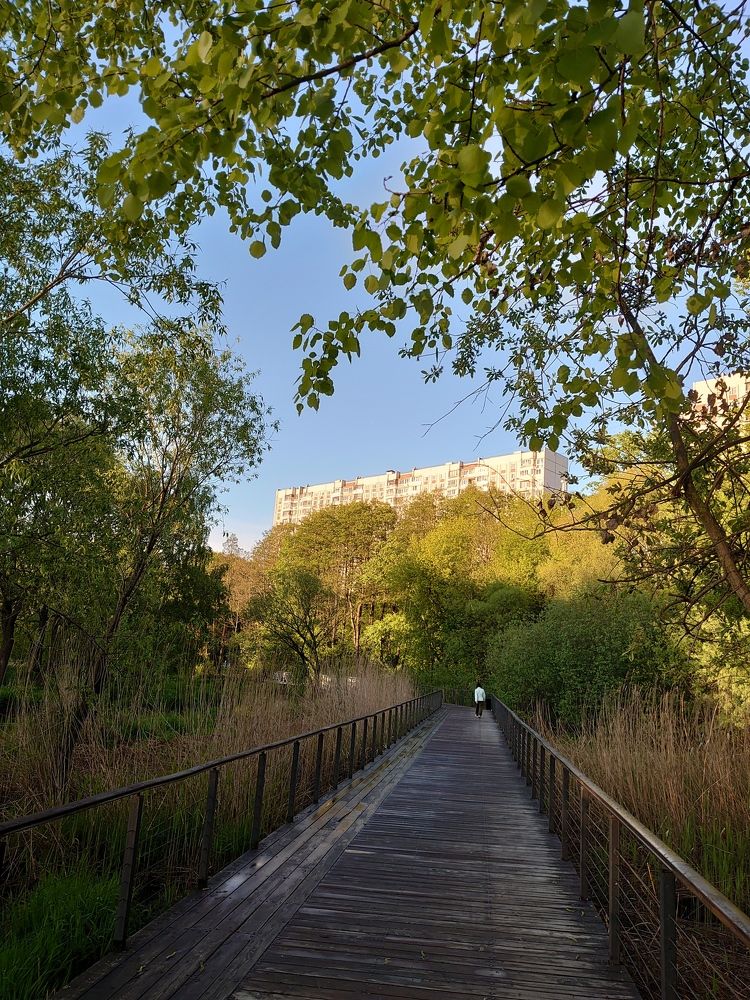 Photograph by Наталия Игоревна