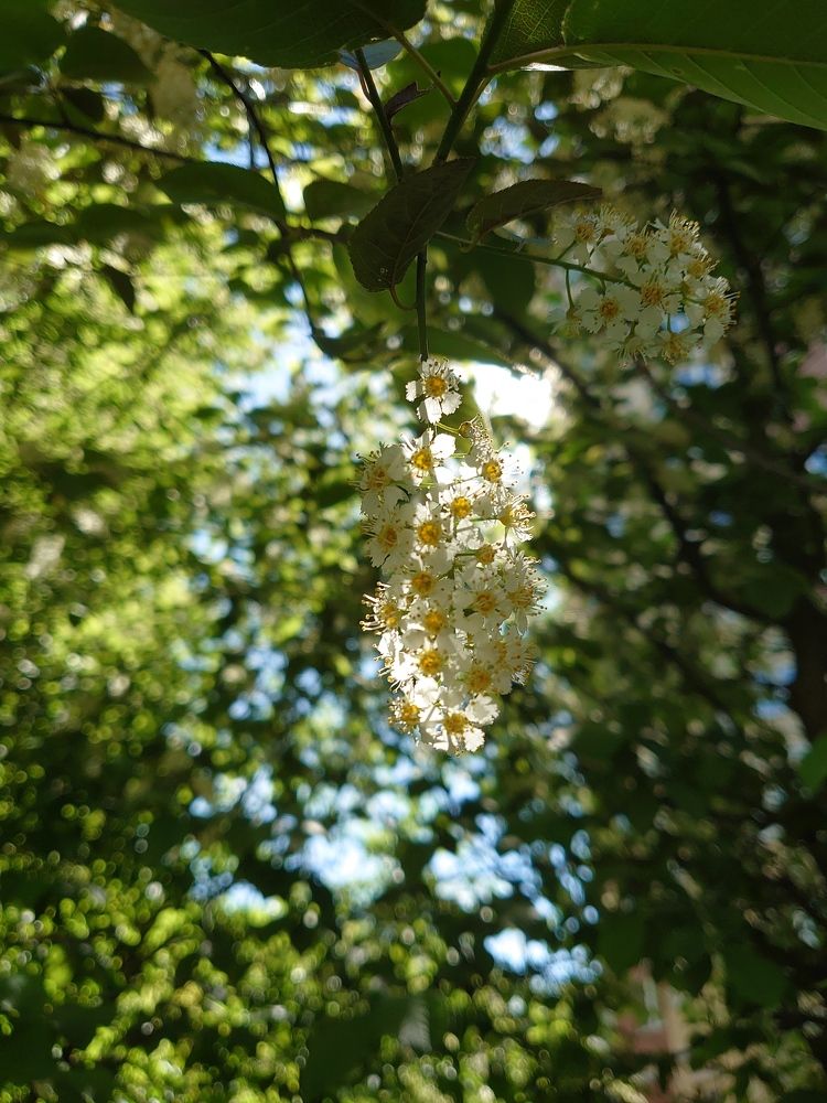 Photograph by Наталия Игоревна