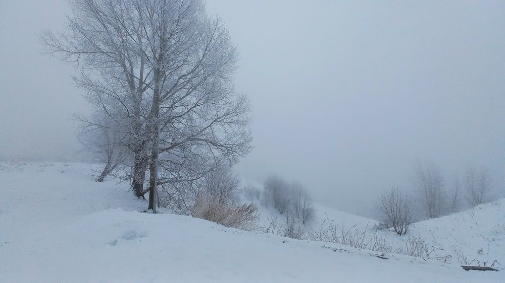 Фотография автора Ганина Галина