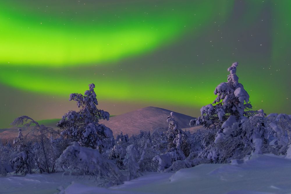 Фотография автора Мика Петров