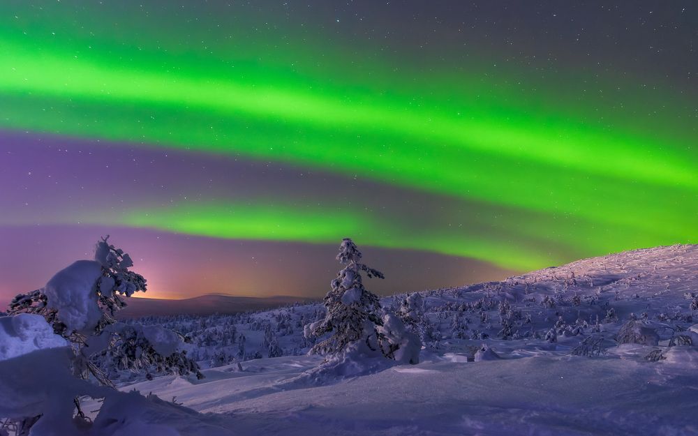 Фотография автора Мика Петров