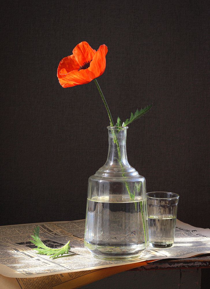 Photograph by Наталья Казанцева