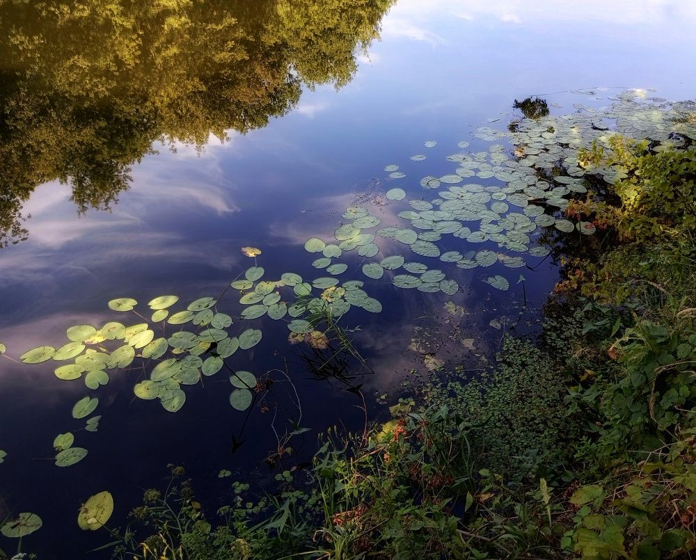 Photograph by Людмила М