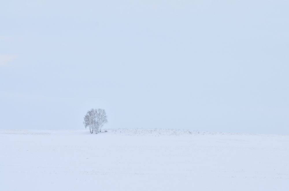 Photograph by Константин Степанов