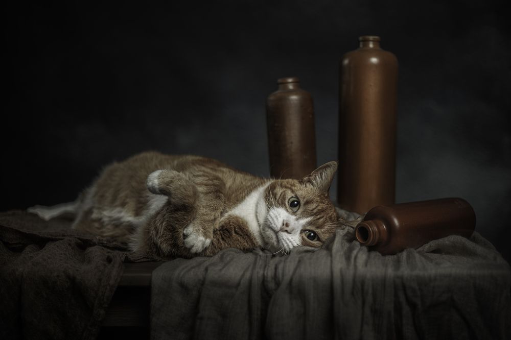 Photograph by Gertrude Goené