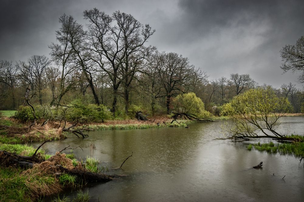 Озеро Ляйнер
