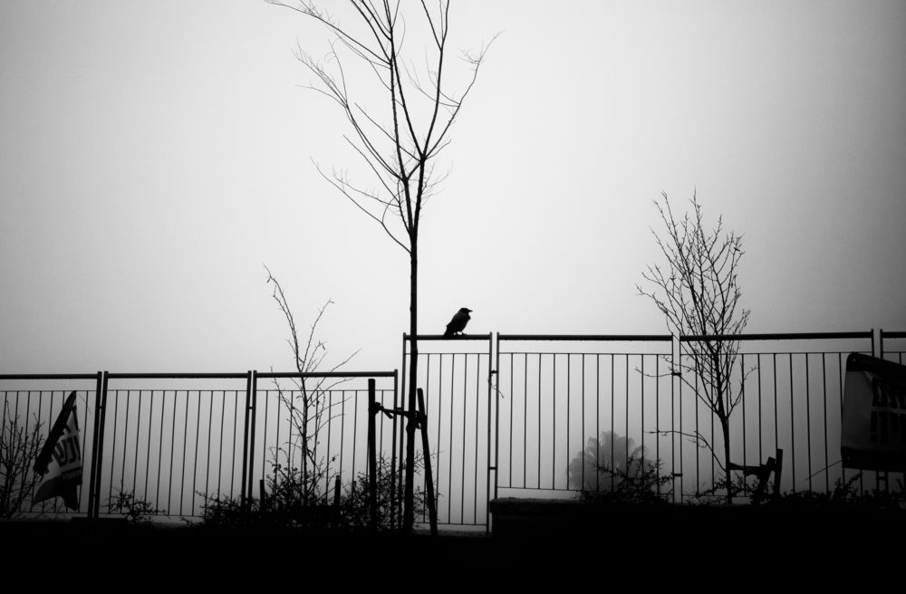 Photograph by marianna chechik