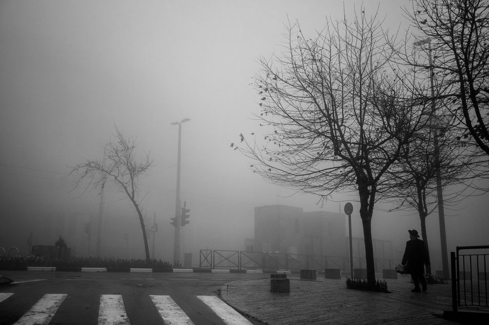 Photograph by marianna chechik