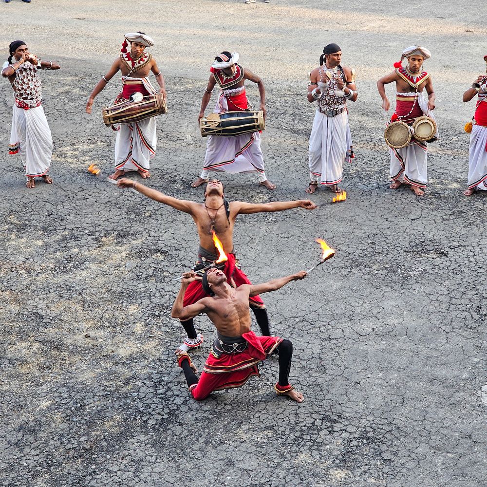 Фотография автора Ольга Шишук