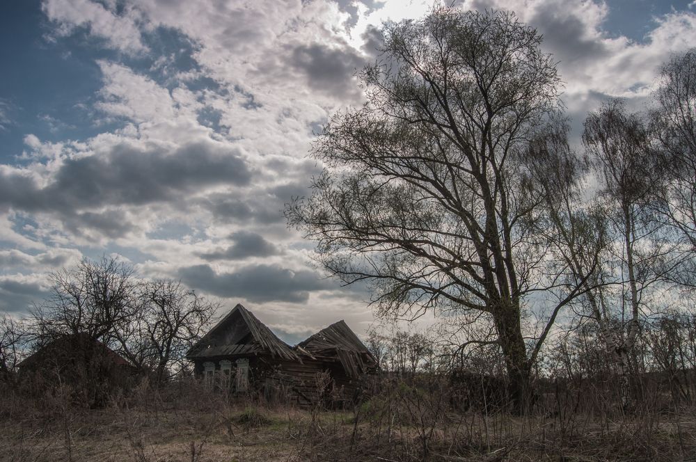 Photograph by Новиков Владимир