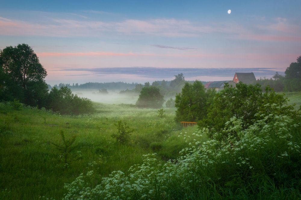 Утро в селе