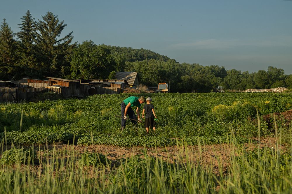 Photograph by Татьяна Зубарева