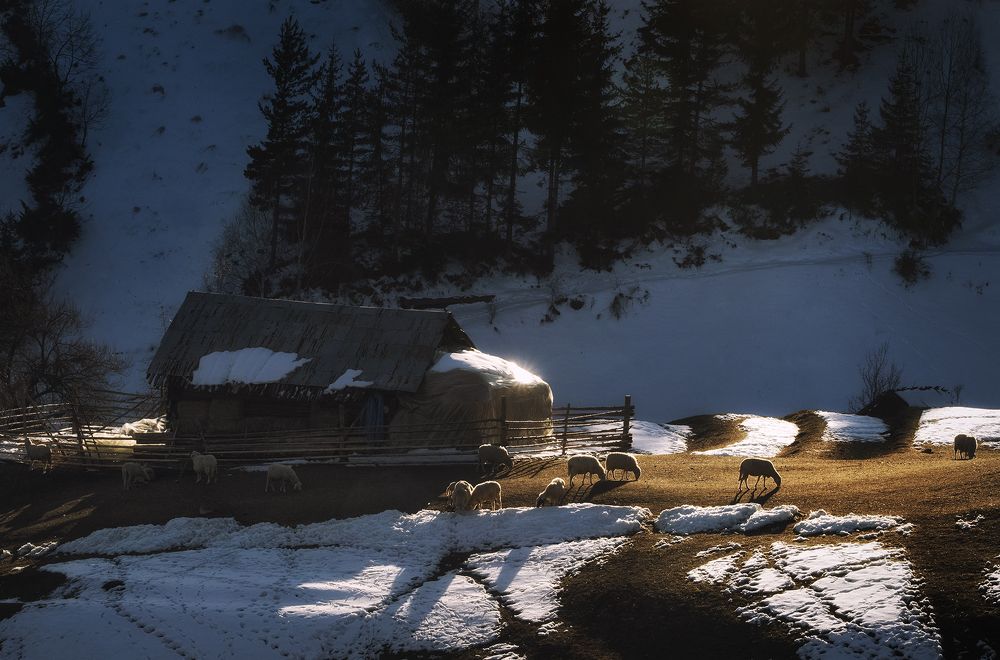 Photograph by Petya Lazarova