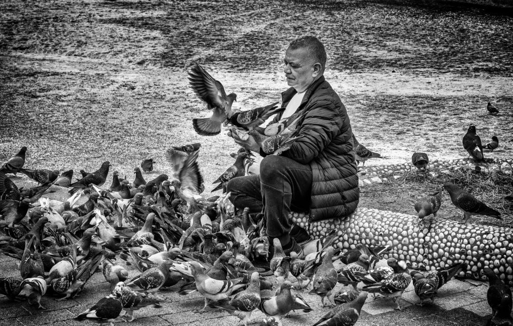 Photograph by Vladimir Bragilevsky