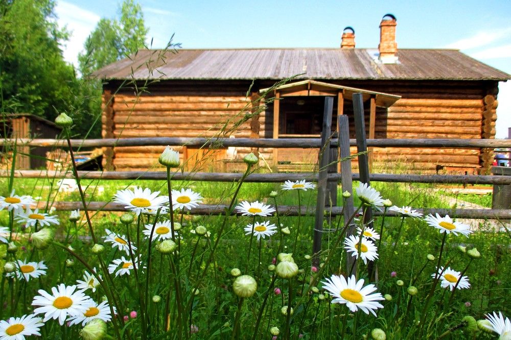 Photograph by Ольга Березовская