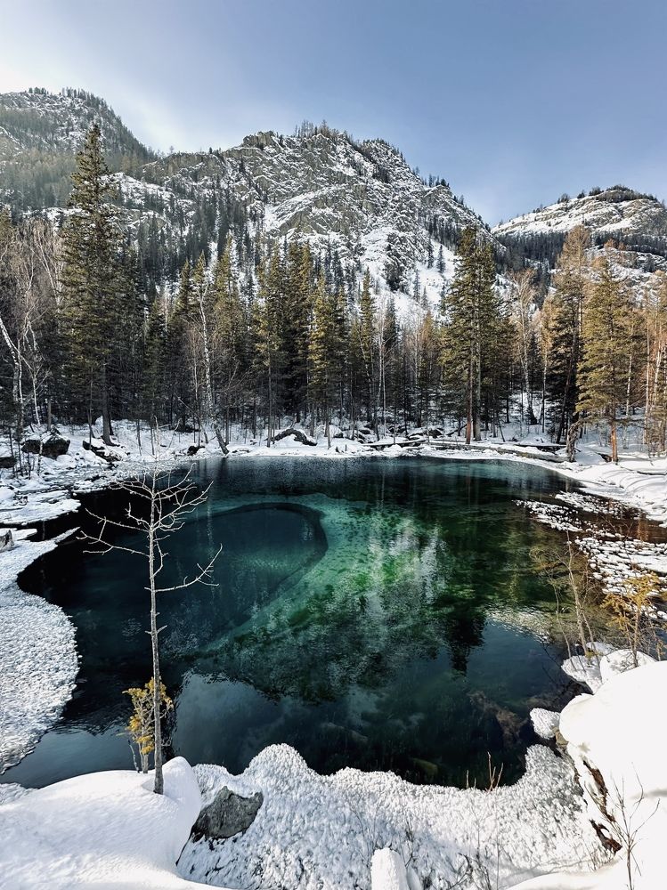 «Алтайский изумруд»