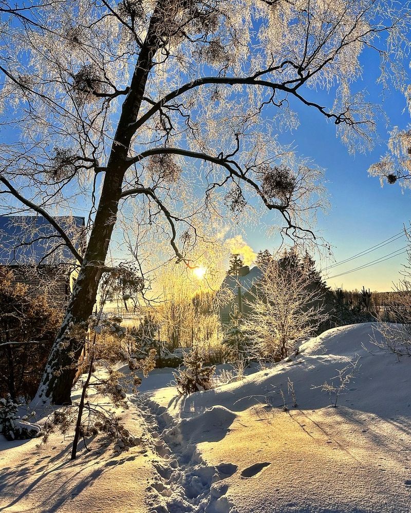 Photograph by Лариса Акинчиц