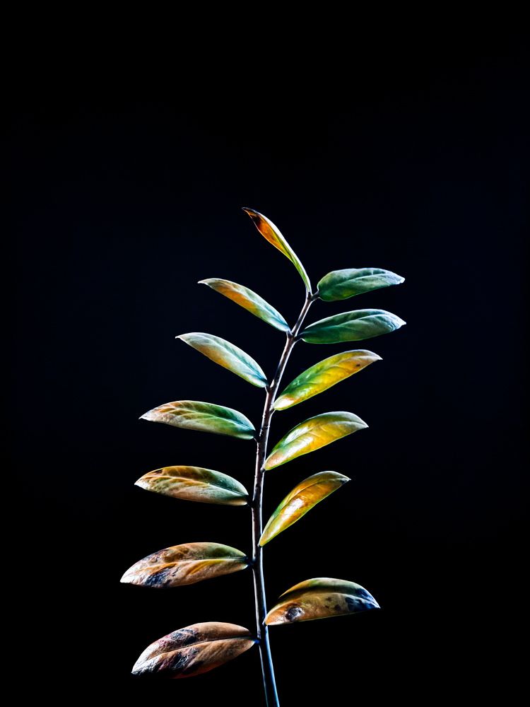 Photograph by Валерия Спирина