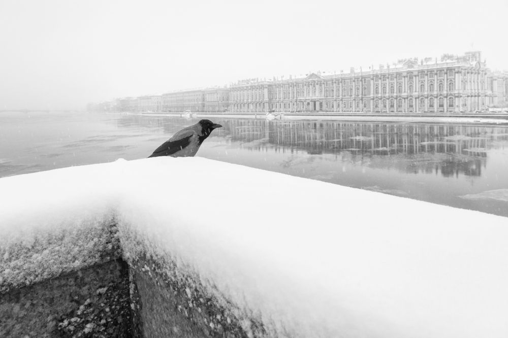 Photograph by Светлана Воробьёва