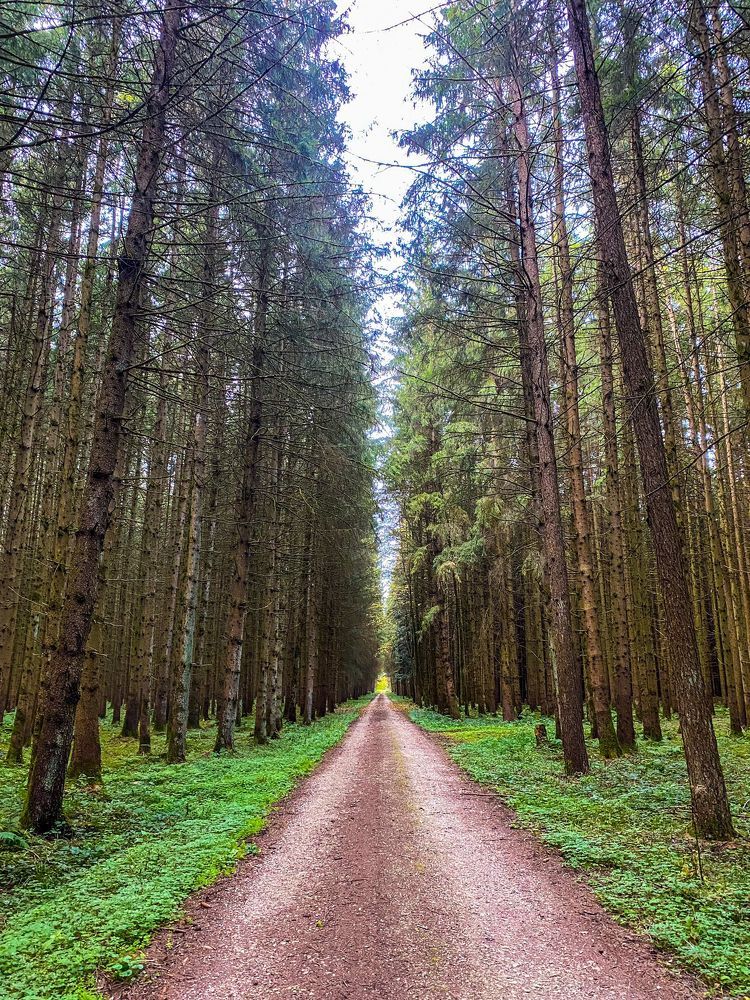 Photograph by Lazăr Milica Nicoleta