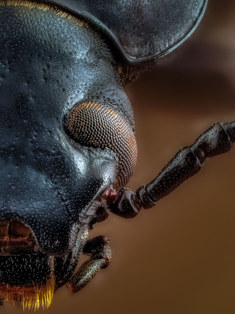 Photograph by савицкий олег