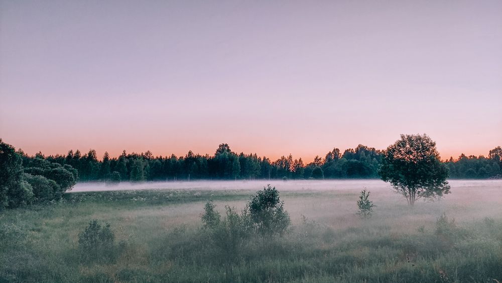 Фотография автора Елизавета Ковалева