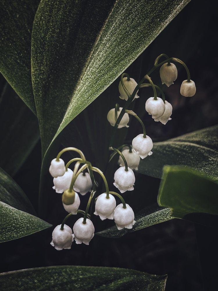 Photograph by Виктория Селютина