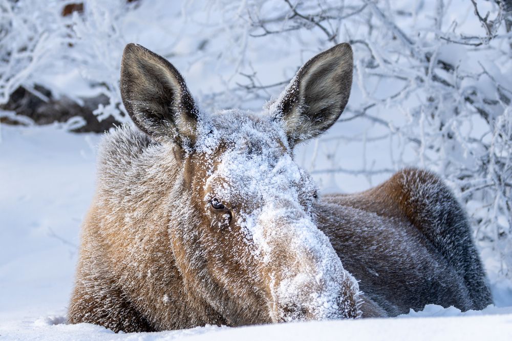 Photograph by Jared Solberg