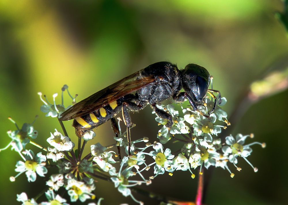 Photograph by Valery Pegushev