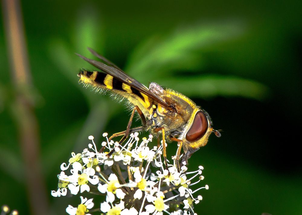 Photograph by Valery Pegushev