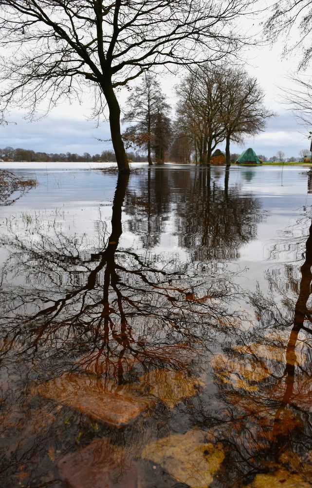 Photograph by Gabriella Szabo