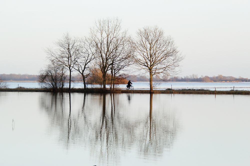 Photograph by Gabriella Szabo