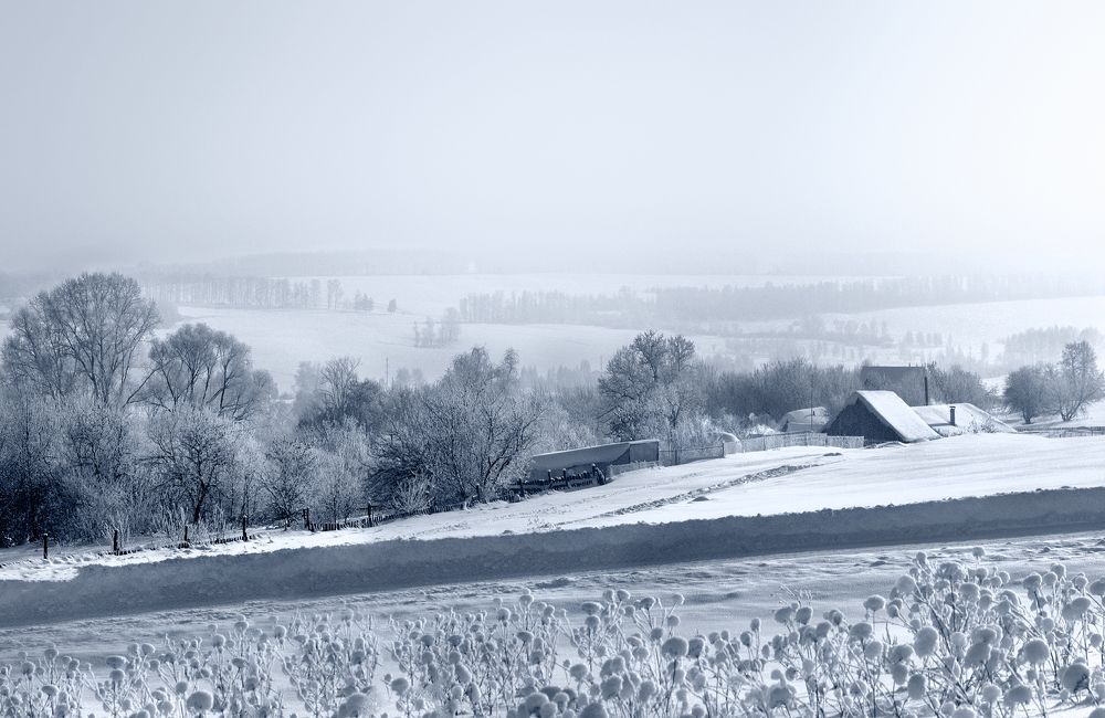 Photograph by Заболотская Ольга