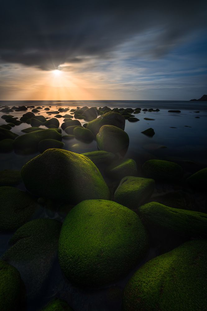 Photograph by SORAYA SAMPEDRO